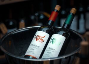 Two wine bottles with corks in ice bucket, perfect for wine tasting and events.